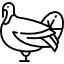 Pavo