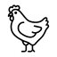 Pollo